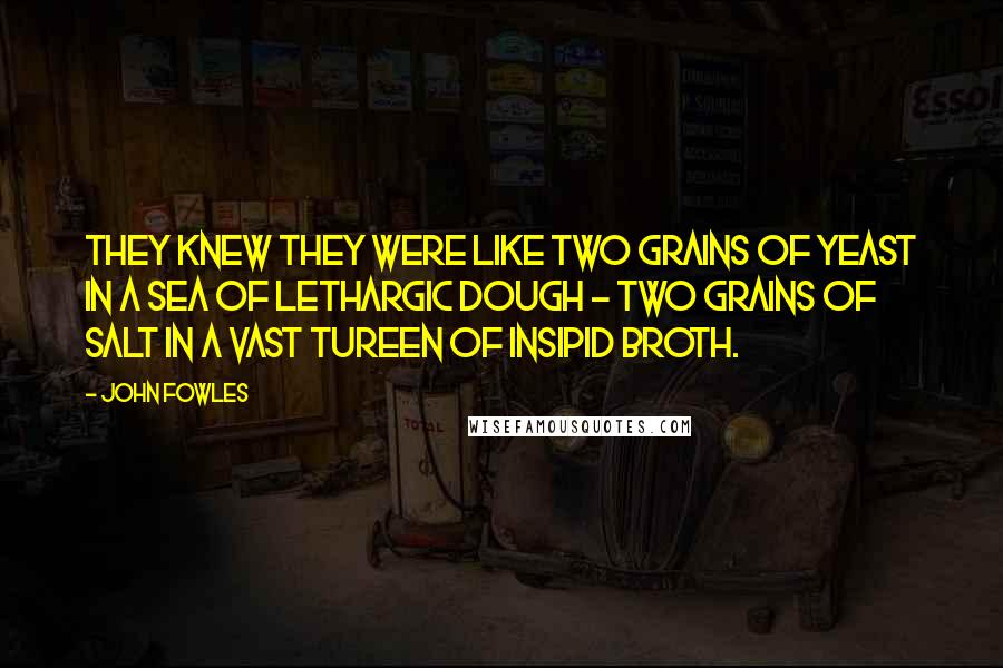 John Fowles Quotes: They knew they were like two grains of yeast in a sea of lethargic dough - two grains of salt in a vast tureen of insipid broth.
