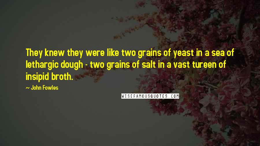 John Fowles Quotes: They knew they were like two grains of yeast in a sea of lethargic dough - two grains of salt in a vast tureen of insipid broth.