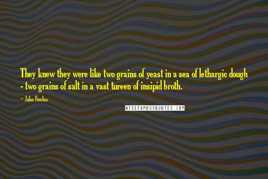 John Fowles Quotes: They knew they were like two grains of yeast in a sea of lethargic dough - two grains of salt in a vast tureen of insipid broth.