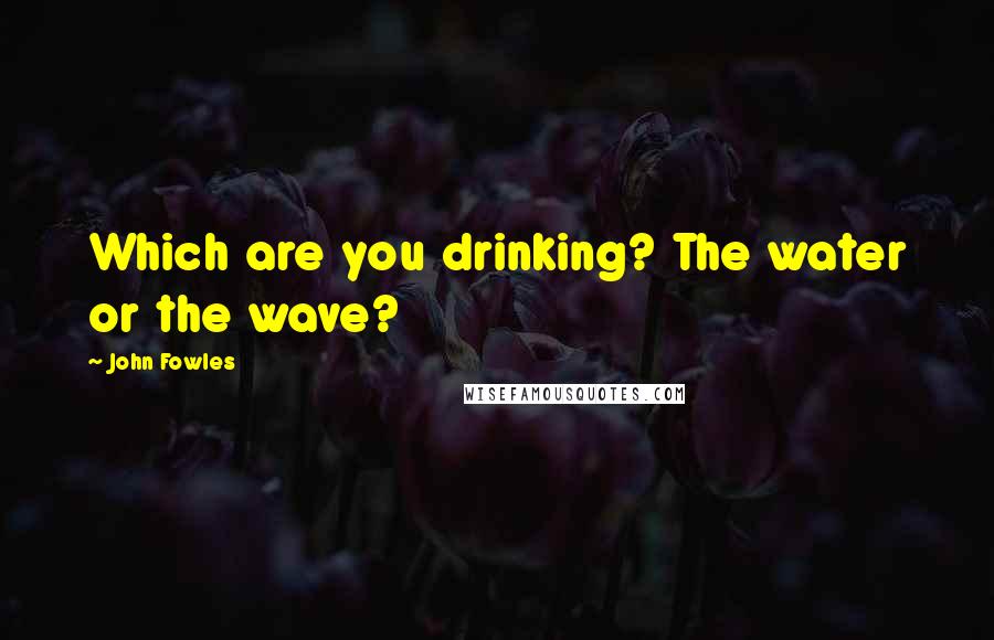 John Fowles Quotes: Which are you drinking? The water or the wave?