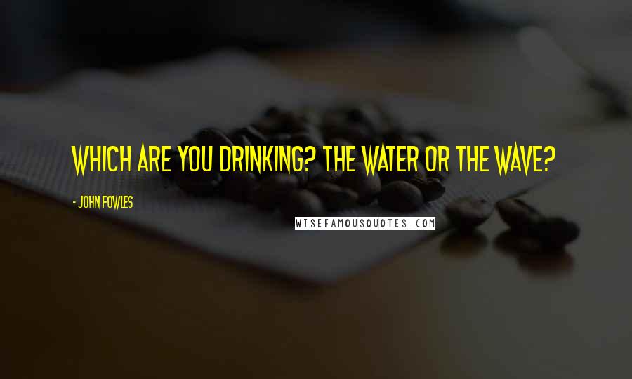 John Fowles Quotes: Which are you drinking? The water or the wave?
