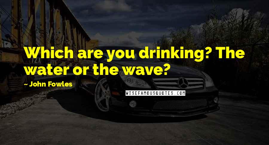 John Fowles Quotes: Which are you drinking? The water or the wave?
