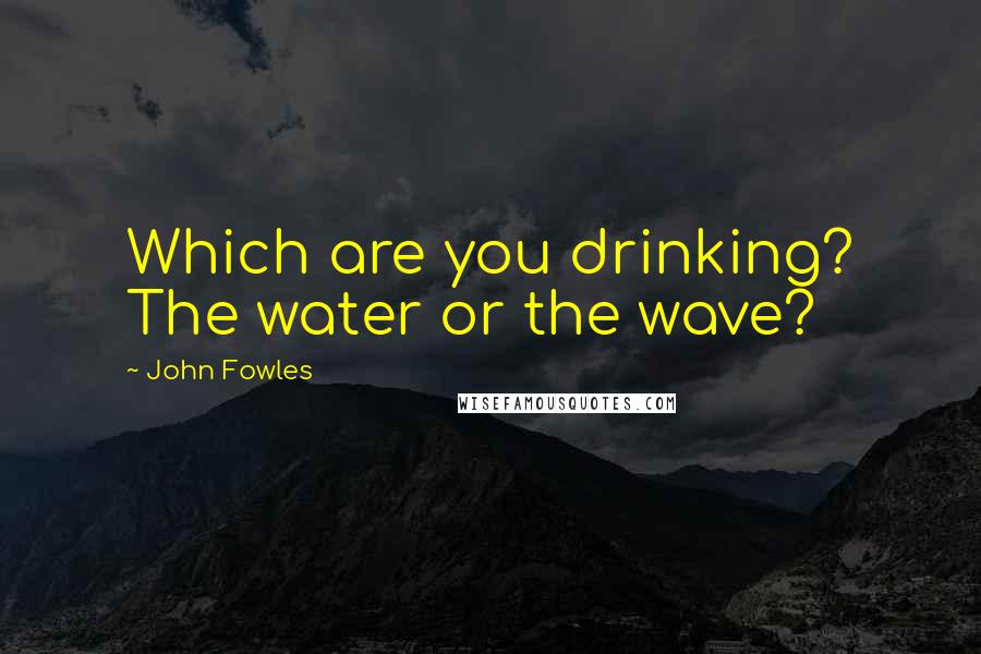 John Fowles Quotes: Which are you drinking? The water or the wave?