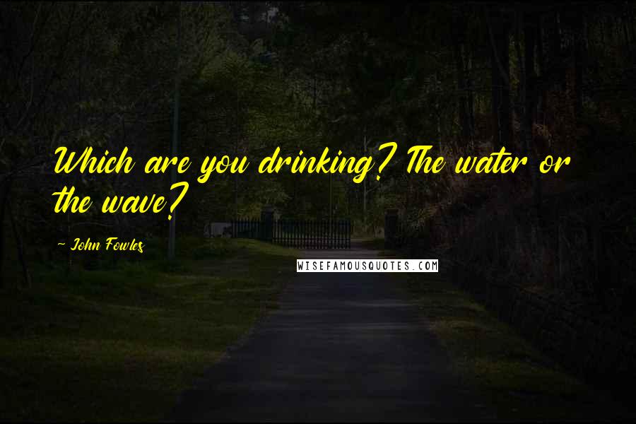 John Fowles Quotes: Which are you drinking? The water or the wave?