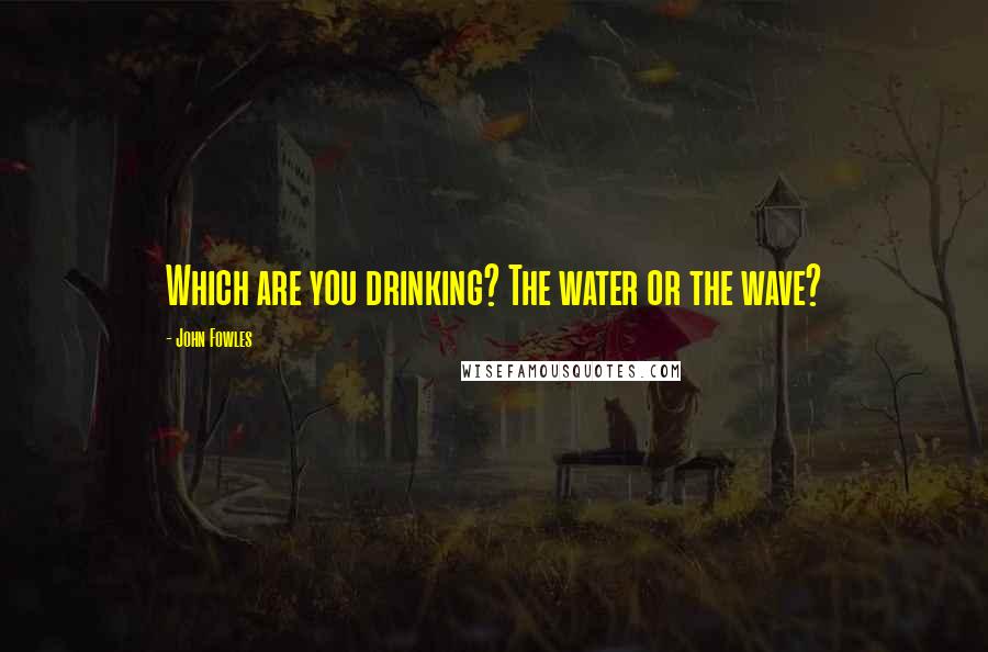 John Fowles Quotes: Which are you drinking? The water or the wave?