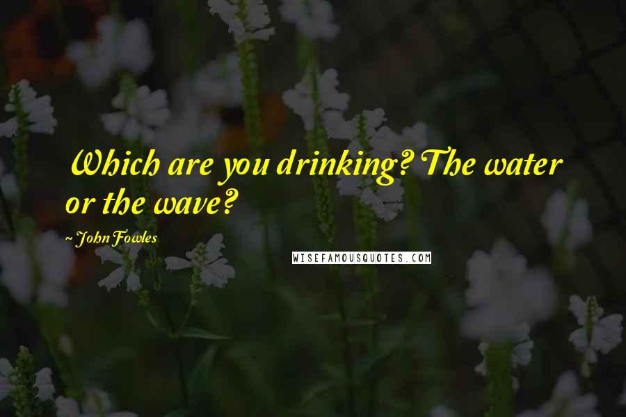 John Fowles Quotes: Which are you drinking? The water or the wave?