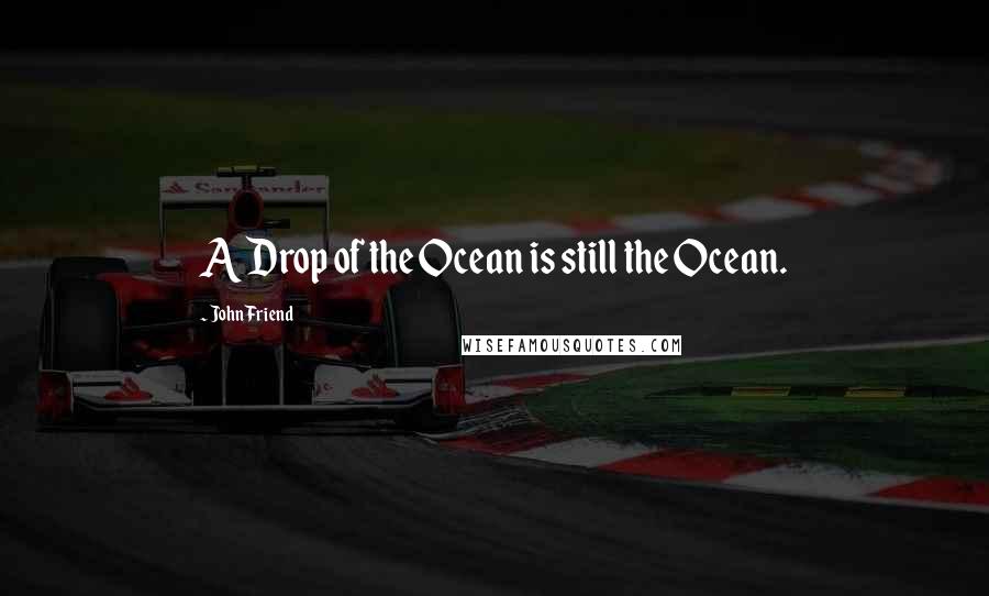 John Friend Quotes: A Drop of the Ocean is still the Ocean.