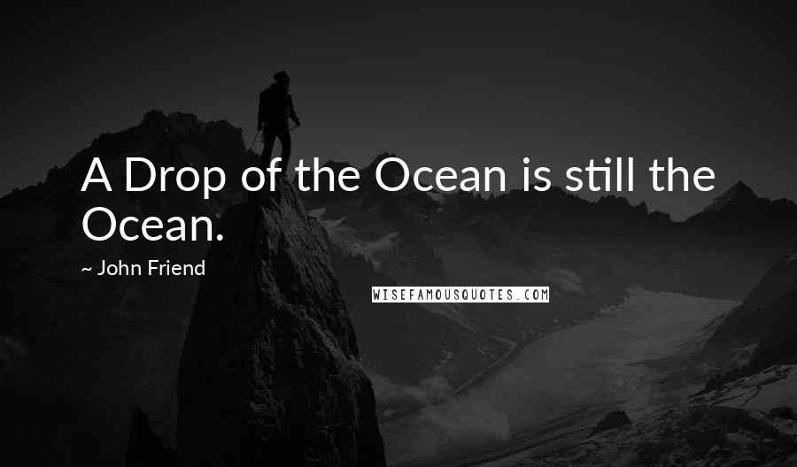 John Friend Quotes: A Drop of the Ocean is still the Ocean.