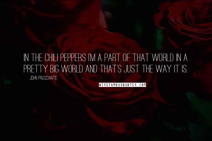 John Frusciante Quotes: In the Chili Peppers I'm a part of that world in a pretty big world and that's just the way it is.