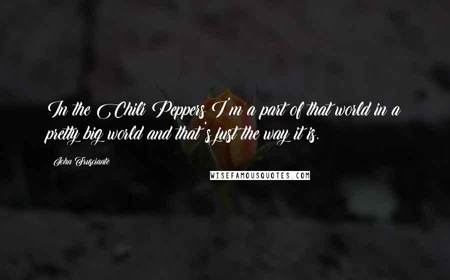 John Frusciante Quotes: In the Chili Peppers I'm a part of that world in a pretty big world and that's just the way it is.