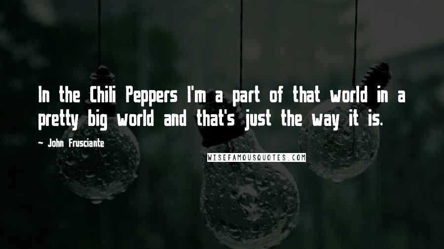 John Frusciante Quotes: In the Chili Peppers I'm a part of that world in a pretty big world and that's just the way it is.