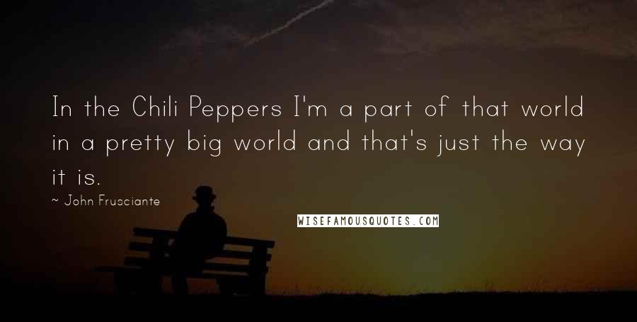 John Frusciante Quotes: In the Chili Peppers I'm a part of that world in a pretty big world and that's just the way it is.