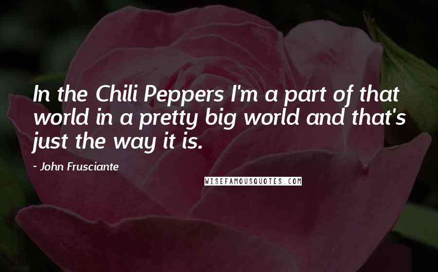 John Frusciante Quotes: In the Chili Peppers I'm a part of that world in a pretty big world and that's just the way it is.