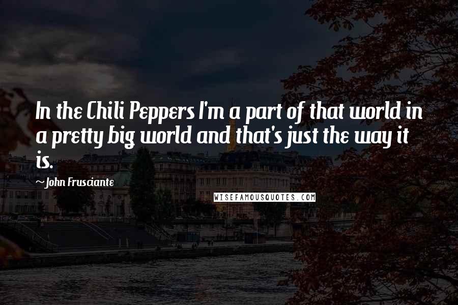 John Frusciante Quotes: In the Chili Peppers I'm a part of that world in a pretty big world and that's just the way it is.