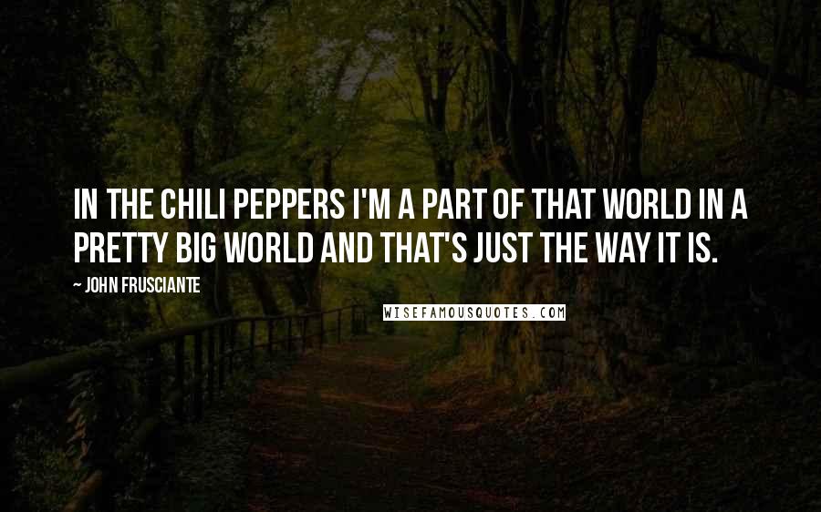 John Frusciante Quotes: In the Chili Peppers I'm a part of that world in a pretty big world and that's just the way it is.