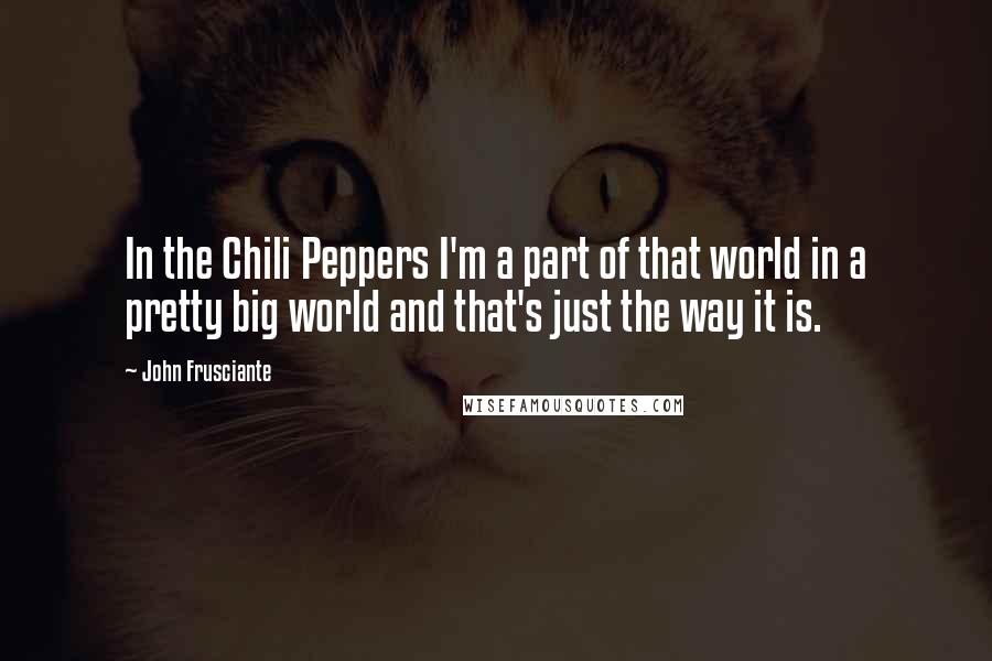 John Frusciante Quotes: In the Chili Peppers I'm a part of that world in a pretty big world and that's just the way it is.