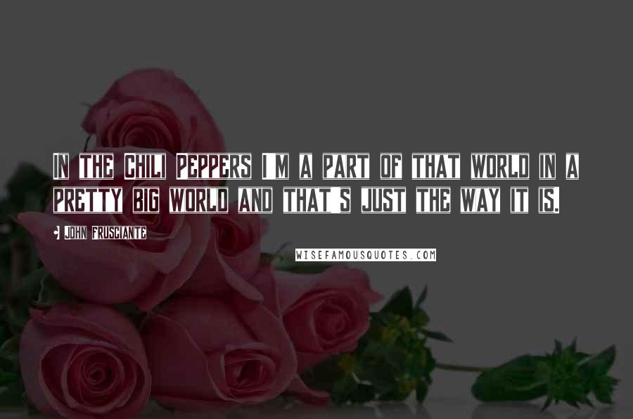 John Frusciante Quotes: In the Chili Peppers I'm a part of that world in a pretty big world and that's just the way it is.
