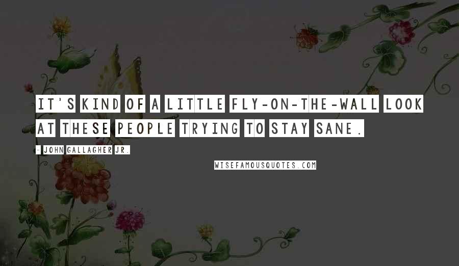 John Gallagher Jr. Quotes: It's kind of a little fly-on-the-wall look at these people trying to stay sane.