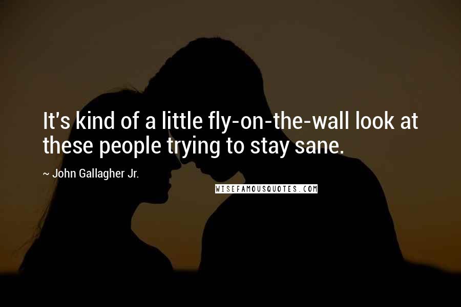 John Gallagher Jr. Quotes: It's kind of a little fly-on-the-wall look at these people trying to stay sane.