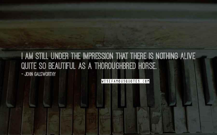 John Galsworthy Quotes: I am still under the impression that there is nothing alive quite so beautiful as a thoroughbred horse.