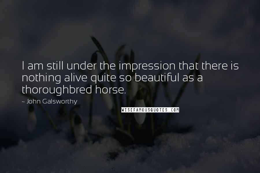 John Galsworthy Quotes: I am still under the impression that there is nothing alive quite so beautiful as a thoroughbred horse.