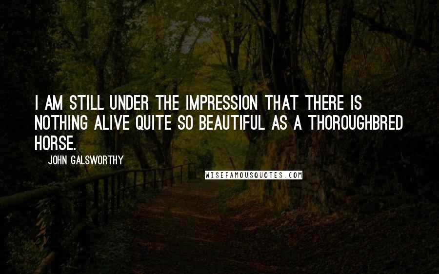 John Galsworthy Quotes: I am still under the impression that there is nothing alive quite so beautiful as a thoroughbred horse.