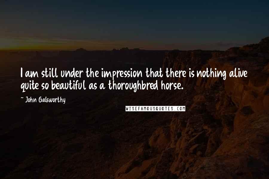 John Galsworthy Quotes: I am still under the impression that there is nothing alive quite so beautiful as a thoroughbred horse.
