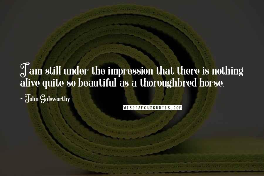 John Galsworthy Quotes: I am still under the impression that there is nothing alive quite so beautiful as a thoroughbred horse.
