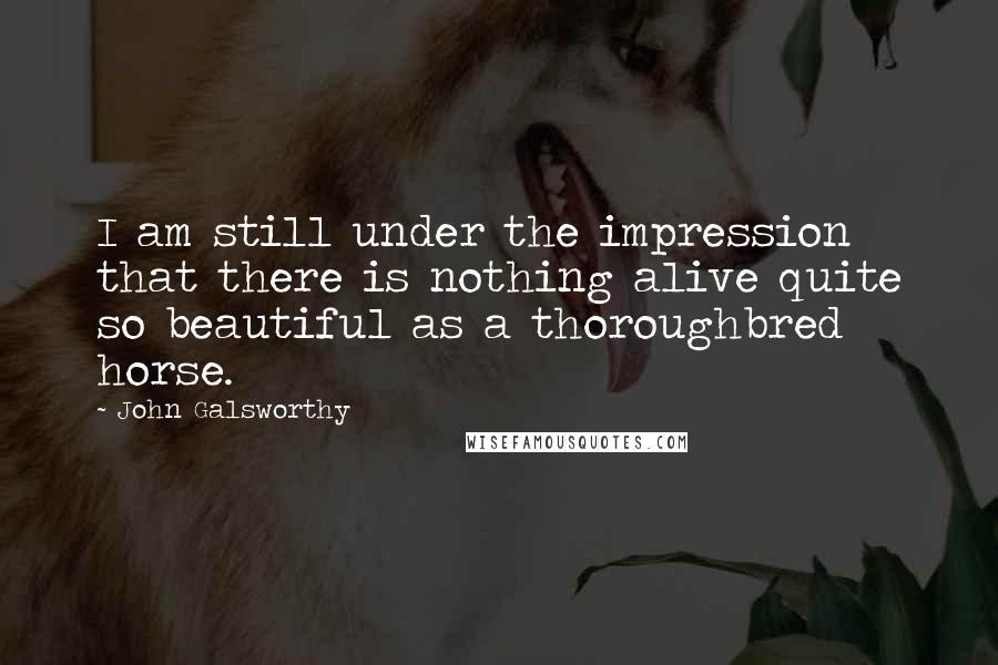 John Galsworthy Quotes: I am still under the impression that there is nothing alive quite so beautiful as a thoroughbred horse.