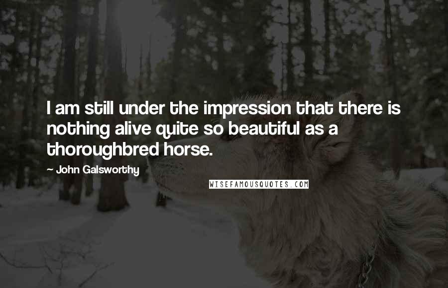 John Galsworthy Quotes: I am still under the impression that there is nothing alive quite so beautiful as a thoroughbred horse.