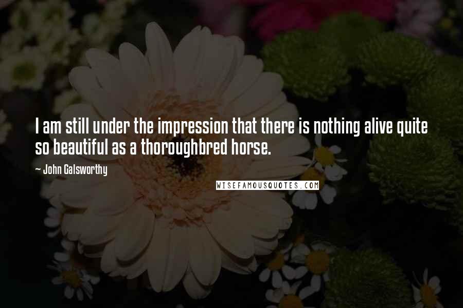 John Galsworthy Quotes: I am still under the impression that there is nothing alive quite so beautiful as a thoroughbred horse.