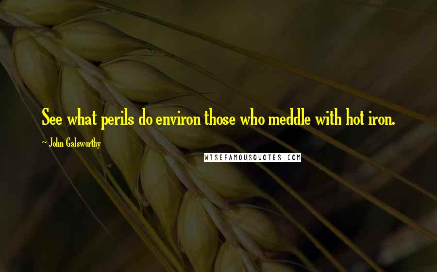 John Galsworthy Quotes: See what perils do environ those who meddle with hot iron.