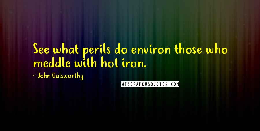 John Galsworthy Quotes: See what perils do environ those who meddle with hot iron.