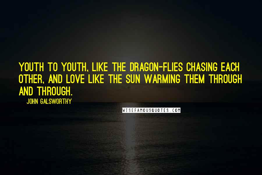 John Galsworthy Quotes: Youth to youth, like the dragon-flies chasing each other, and love like the sun warming them through and through.