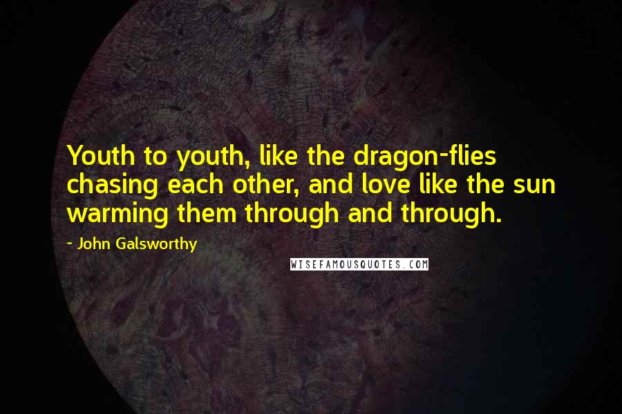 John Galsworthy Quotes: Youth to youth, like the dragon-flies chasing each other, and love like the sun warming them through and through.