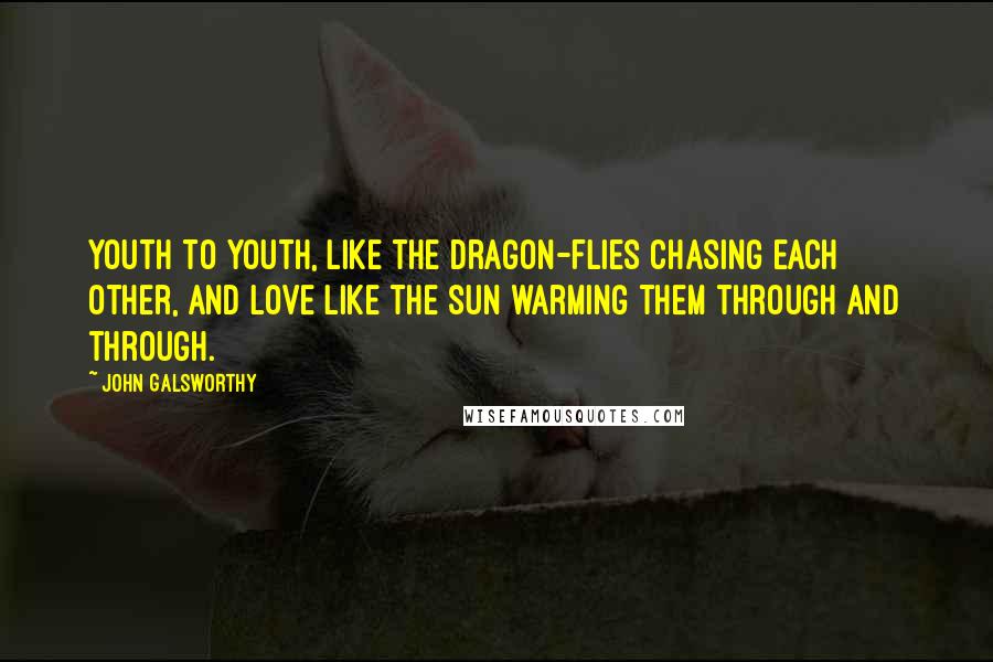 John Galsworthy Quotes: Youth to youth, like the dragon-flies chasing each other, and love like the sun warming them through and through.