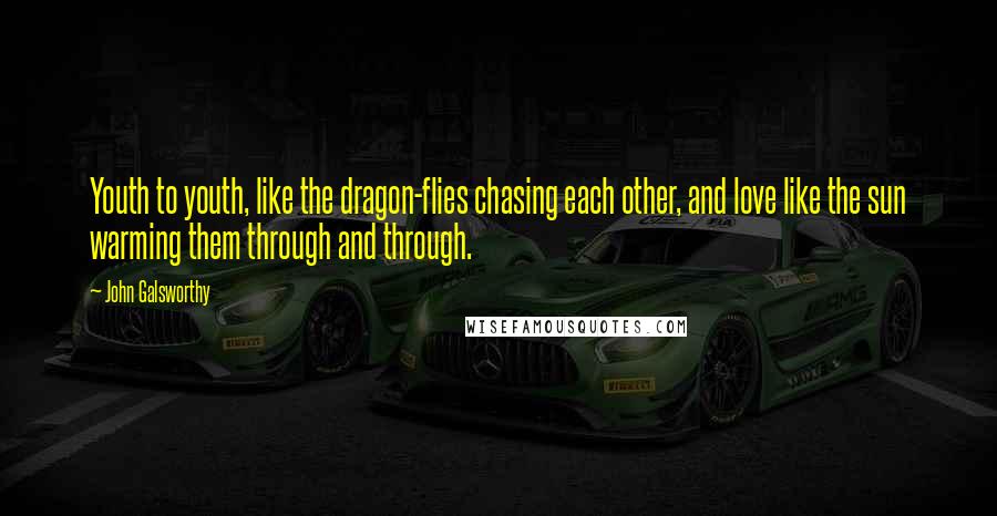 John Galsworthy Quotes: Youth to youth, like the dragon-flies chasing each other, and love like the sun warming them through and through.