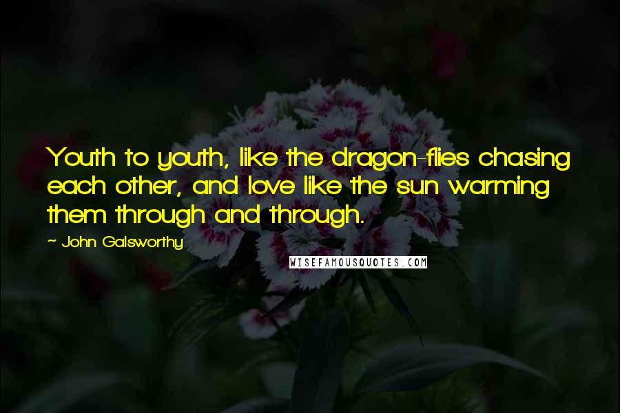 John Galsworthy Quotes: Youth to youth, like the dragon-flies chasing each other, and love like the sun warming them through and through.