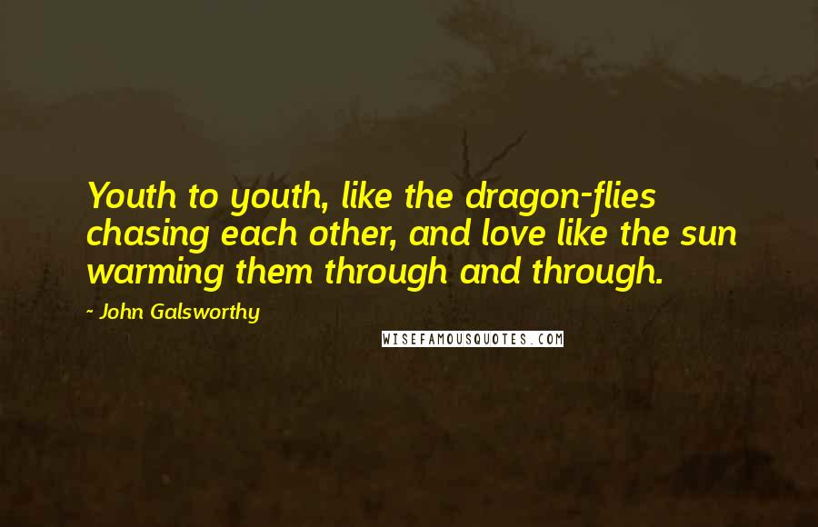 John Galsworthy Quotes: Youth to youth, like the dragon-flies chasing each other, and love like the sun warming them through and through.