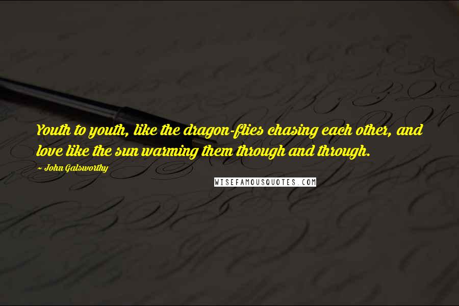 John Galsworthy Quotes: Youth to youth, like the dragon-flies chasing each other, and love like the sun warming them through and through.