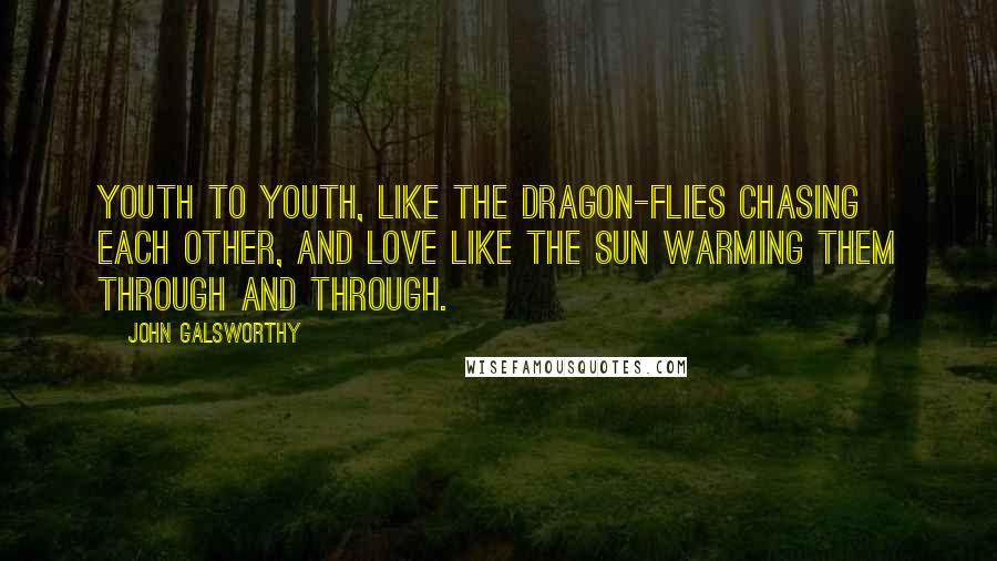 John Galsworthy Quotes: Youth to youth, like the dragon-flies chasing each other, and love like the sun warming them through and through.