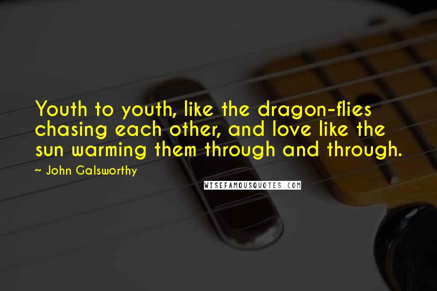 John Galsworthy Quotes: Youth to youth, like the dragon-flies chasing each other, and love like the sun warming them through and through.