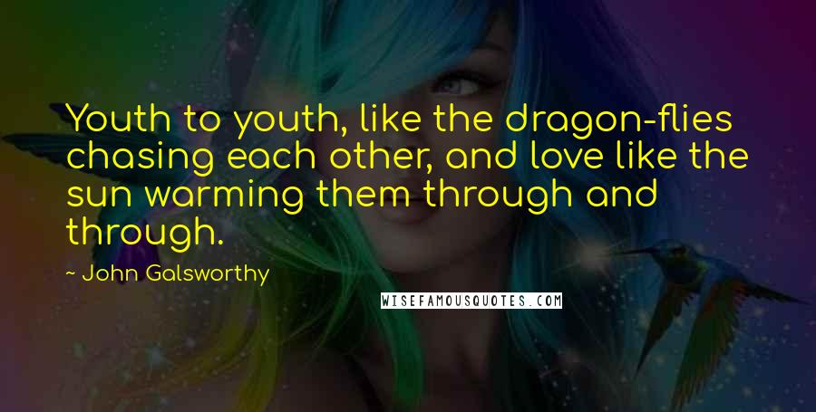 John Galsworthy Quotes: Youth to youth, like the dragon-flies chasing each other, and love like the sun warming them through and through.