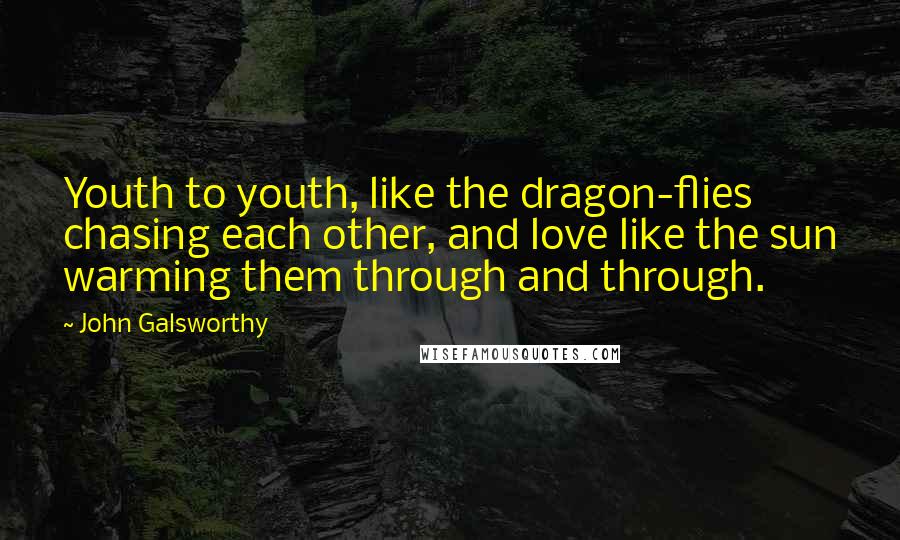 John Galsworthy Quotes: Youth to youth, like the dragon-flies chasing each other, and love like the sun warming them through and through.