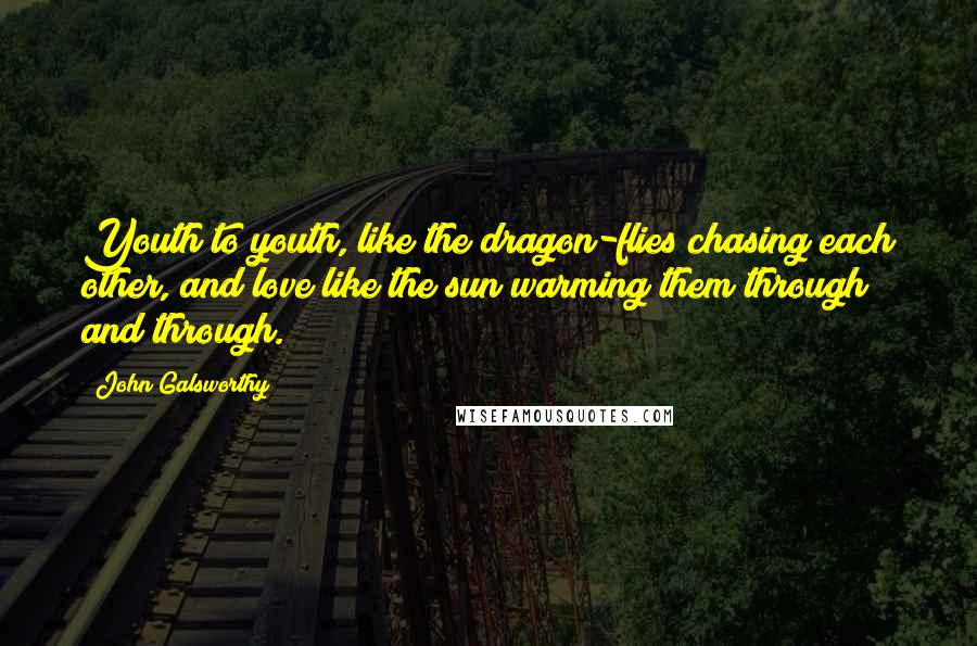 John Galsworthy Quotes: Youth to youth, like the dragon-flies chasing each other, and love like the sun warming them through and through.