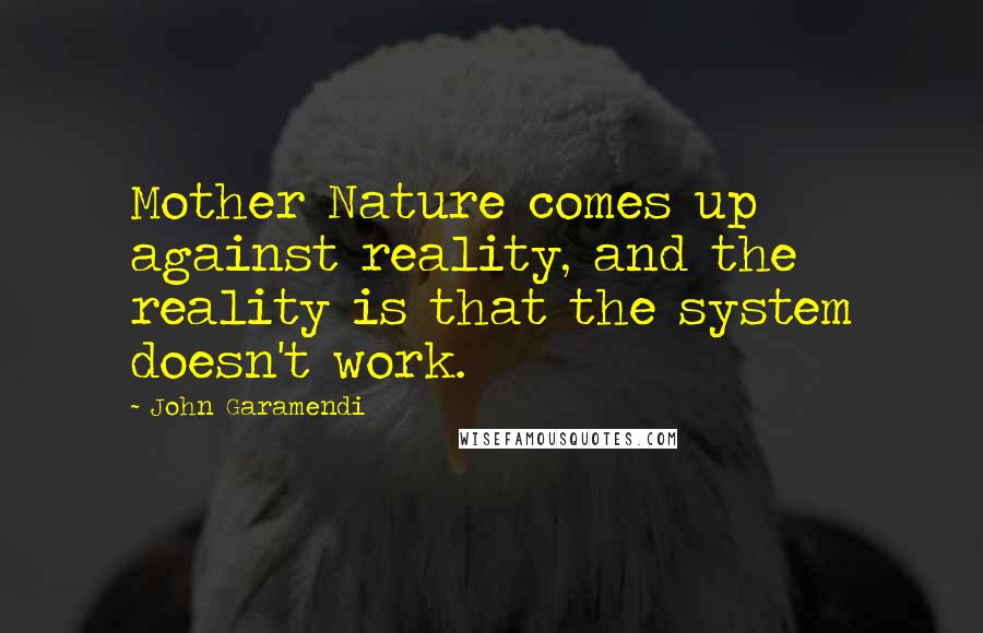 John Garamendi Quotes: Mother Nature comes up against reality, and the reality is that the system doesn't work.