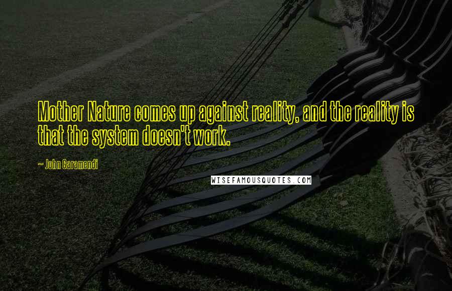 John Garamendi Quotes: Mother Nature comes up against reality, and the reality is that the system doesn't work.