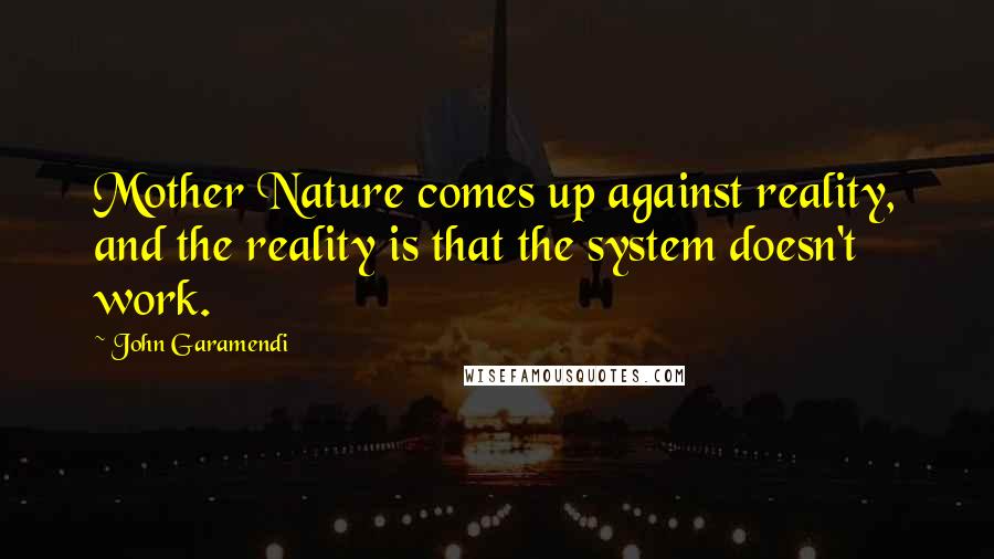 John Garamendi Quotes: Mother Nature comes up against reality, and the reality is that the system doesn't work.