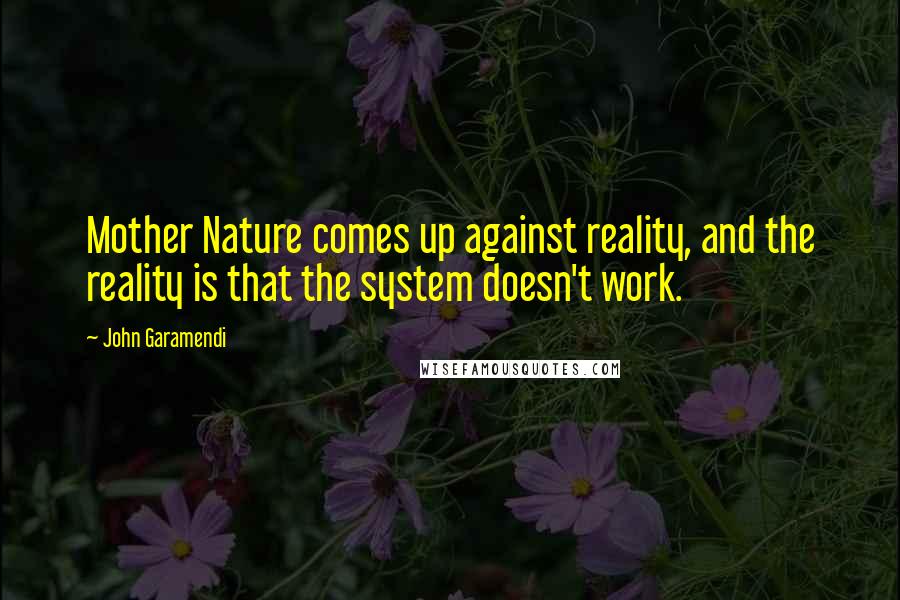 John Garamendi Quotes: Mother Nature comes up against reality, and the reality is that the system doesn't work.