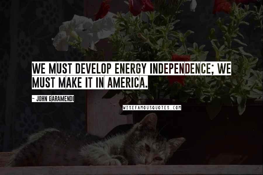 John Garamendi Quotes: We must develop energy independence; we must Make It In America.